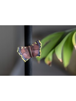 Magnet Papillon Morio Wildlife Garden