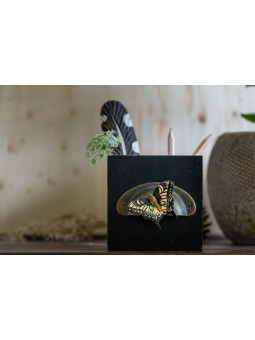 Magnet Papillon Machaon Wildlife Garden