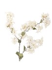 Bloomingville Myrtle Tige, Blanc, Fleurs artificielles