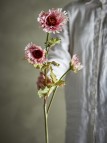 Bloomingville Chrysantemum Tige, Rose, Fleurs artificielles
