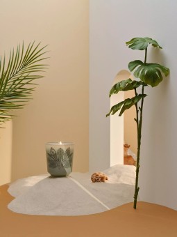 Bougie parfumée 35h Oiseau de Paradis 200G - Bougies la française