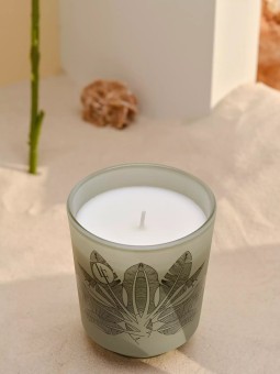 Bougie parfumée 35h Oiseau de Paradis 200G - Bougies la française